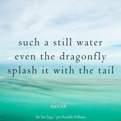Still Water [naviarhaiku399]