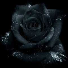 roses are black 134bpm bbminor (sad juice wrld type beat)
