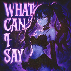 7vvch & D4RRYL - WHAT CAN I SAY
