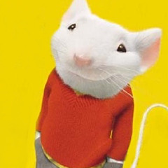 Quarintine and Chill