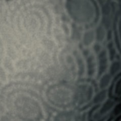 Taut (Demo)