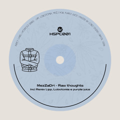 PREMIERE: MezZaDri - Raw thoughts (Original Mix)[HSPC001]