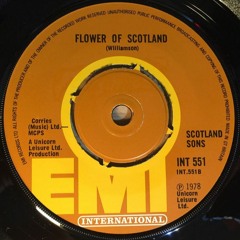 Scotland's Sons - Hey Argentina / Flower Of Scotland