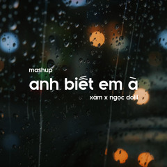 Mashup Anh Biết Em À