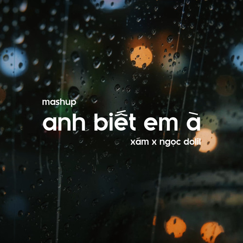 Mashup Anh Biết Em À