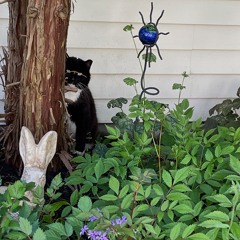 One Kiss Saturday Night