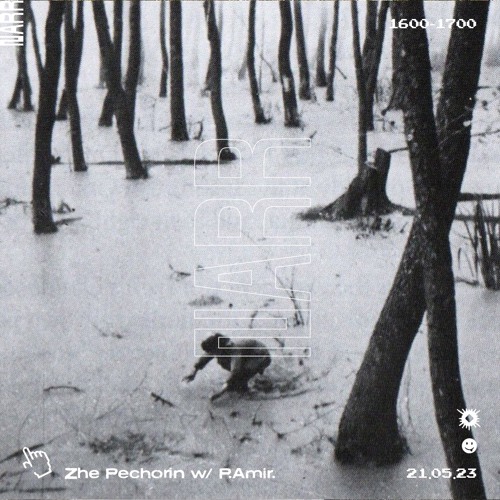 Zhe Pechorin W P.Amir. 21/05/23