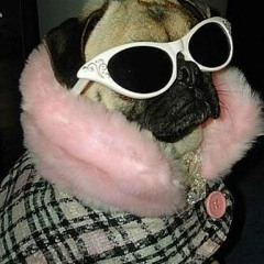 бебебе хуйня