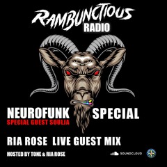 Neurofunk Rambunctious Radio Mix