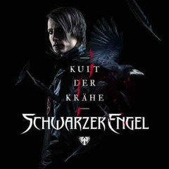 Schwarzer Engel-Krahen an die Macht