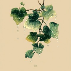 Ivy