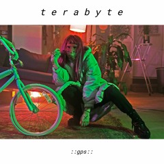 Terabyte - Pleasure Center