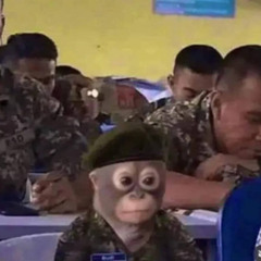 свег