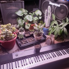 King of the World (Steely Dan cover)