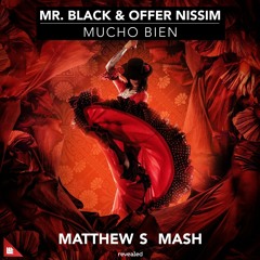Mr Black, Offer Nissim, Steve Levi, Timler - Mucho Bien (Matthew S Mash) [Free download]