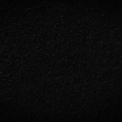 The Old Coyote TEST01