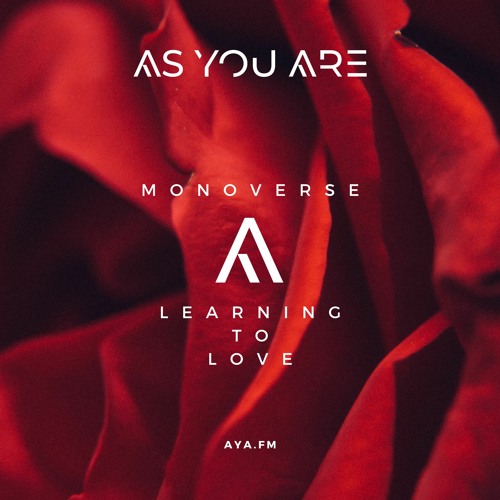 Monoverse - Learning To Love [As You Are]