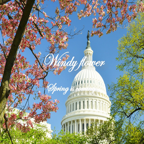 Stream Piano in nature by Windy Flower | Listen online for free on ...