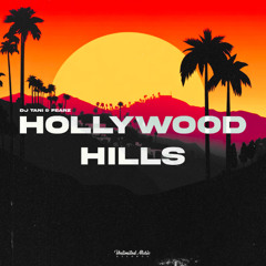 dj tani & FEARZ - Hollywood Hills