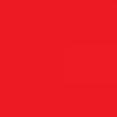 Calamari (P. C2nfetti)