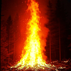 Fire-Remix (Radio Version)