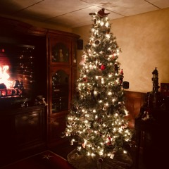 The Christmas Song / Sonya Shell / In The Christmas Spirit ©1999