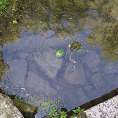 Everything Fall Apart (guitar Only)