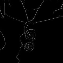 january+ pnk47 rare