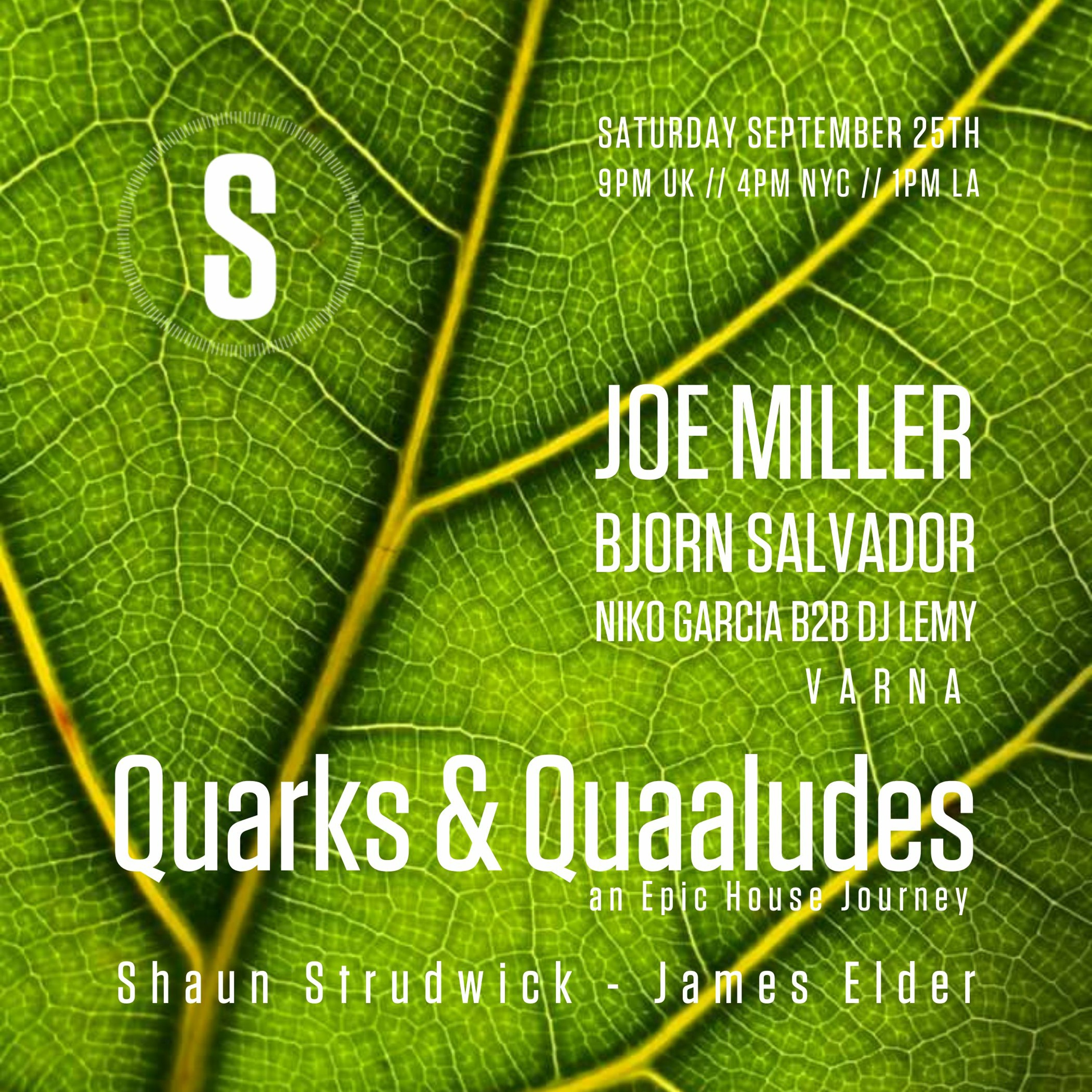 Quarks & Quaaludes #EpicHouseJourney