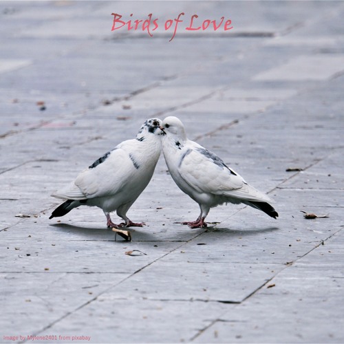 Birds of Love