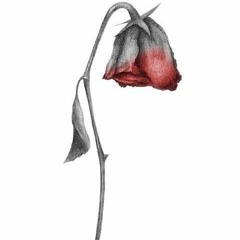 Tears Of A Goddess - Suffer :/ (very rough demo)