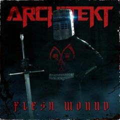 Architekt - Flesh Wound