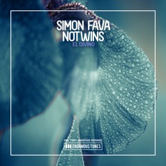 Simon Fava & No Twin - El Divino (Fort Arkansas Remix)