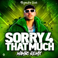 Feid - SORRY 4 THAT MUCH (Alejandro Seok Mambo Remix)
