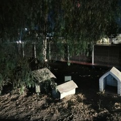 animitas fotos y cruces