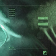PREMIERE: CTSD - Paper Tiger [ Void+1 ]