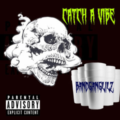 CATCH A VIBE