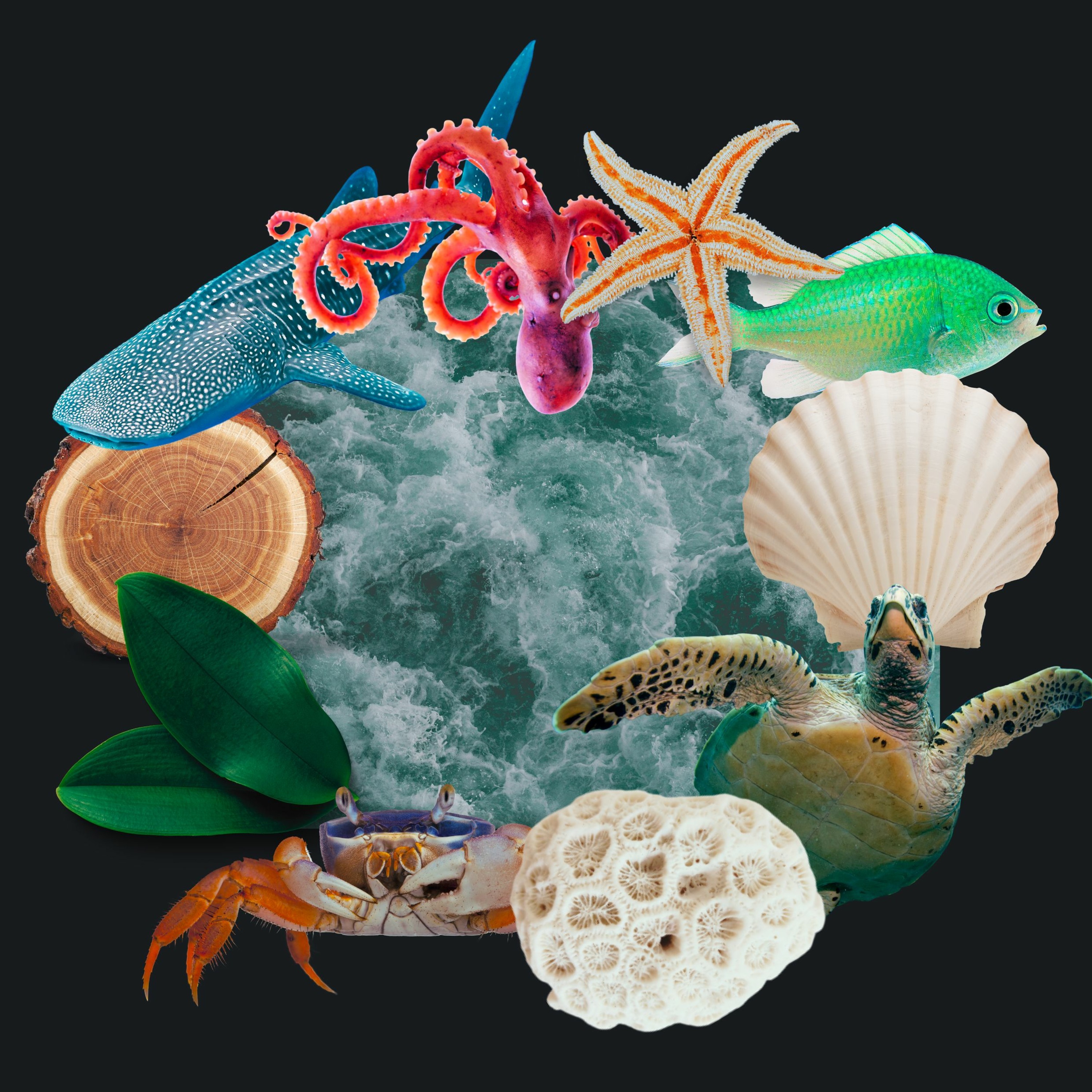 RadioBio