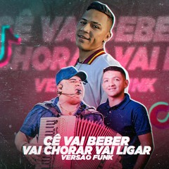 CE VAI BEBER VAI CHORA VAI LIGAR (VERSÃO FUNK) - MC VILARK (Prod. Vilark