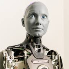 Robotic mayhem