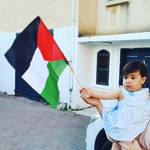 شفيق كبها
