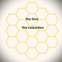 07 2024.04 Comp40 - Thecolourbox - The Hive
