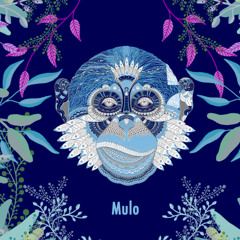 Epiphany Podcast #153 - Mulo (Live set @ The Villa)