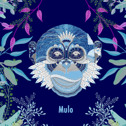 Epiphany Podcast #153 - Mulo (Live set @ The Villa)