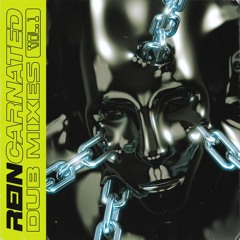 REIN - Reincarnate (Boys Noize Dub Mix) [Boysnoize Records]