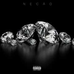 ORIGHINAL NEKKÃO - APENAS O ESSENCIAL