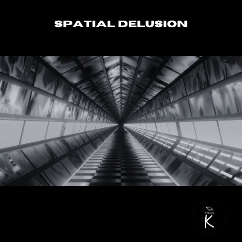 Spatial Delusion