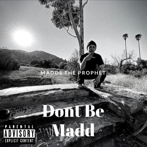 Dont Be Madd (prod.wendelstyzer x maxokoolin)