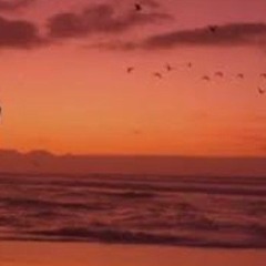 Last Thought Before I Fall Asleep.