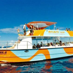 Review Special Price Vip Fascinating Boat Ride Snorkeling At Sosua Bay